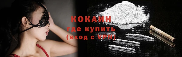 кокс Гусев