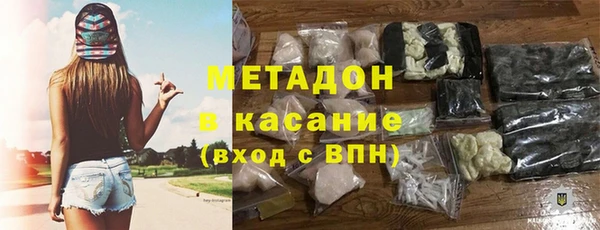 амф Гусь-Хрустальный