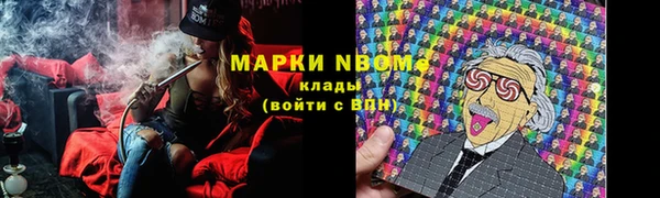бошки Дмитров