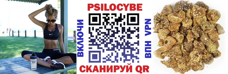 закладка  hydra   Галлюциногенные грибы Magic Shrooms  Энгельс 
