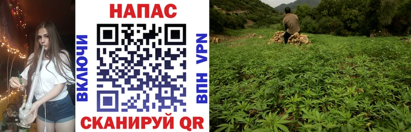 Канабис марихуана  Энгельс 